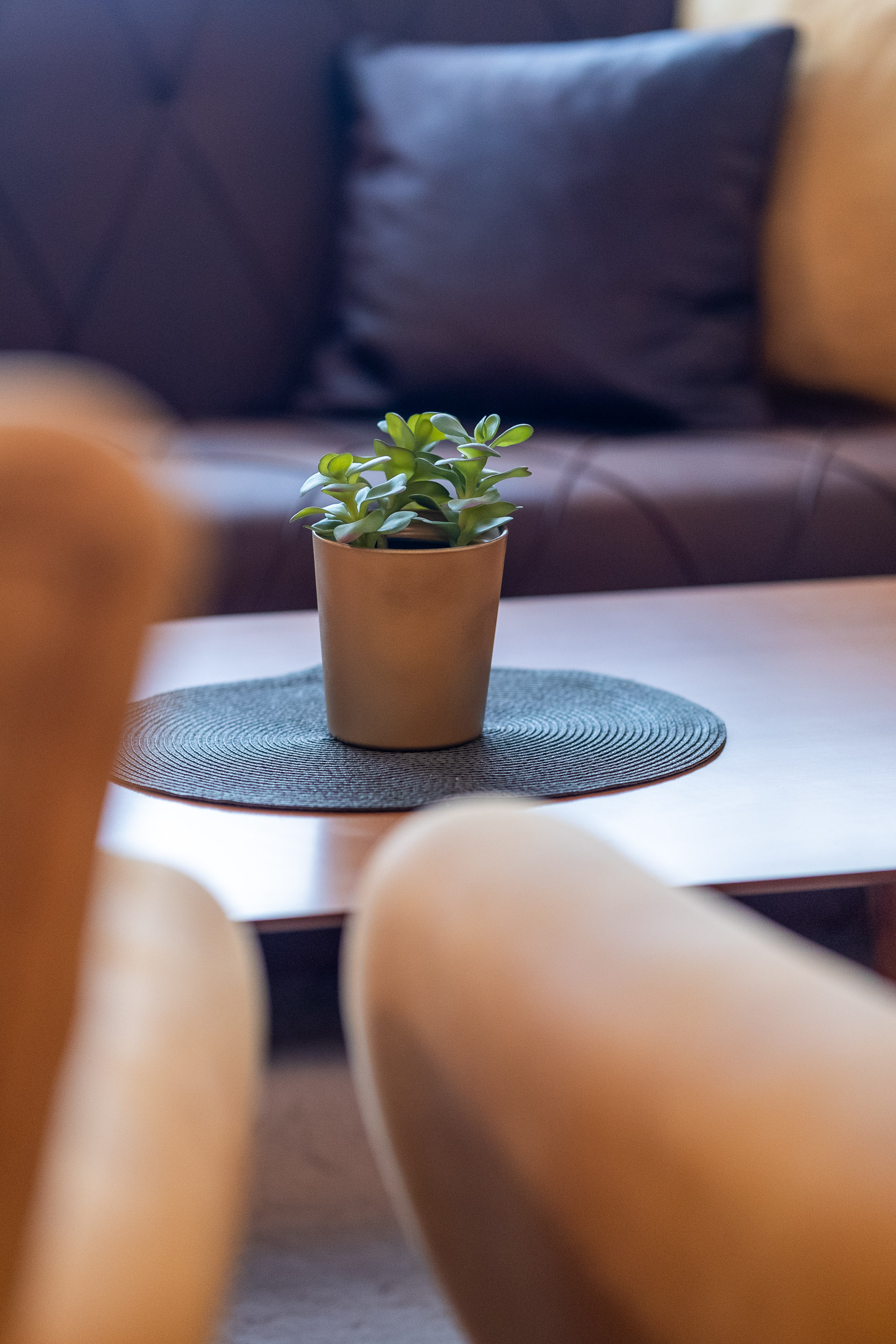 Apartmani_Subotica